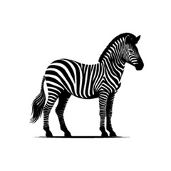 Cute Baby Zebra Vector – Adorable African Wildlife Illustration