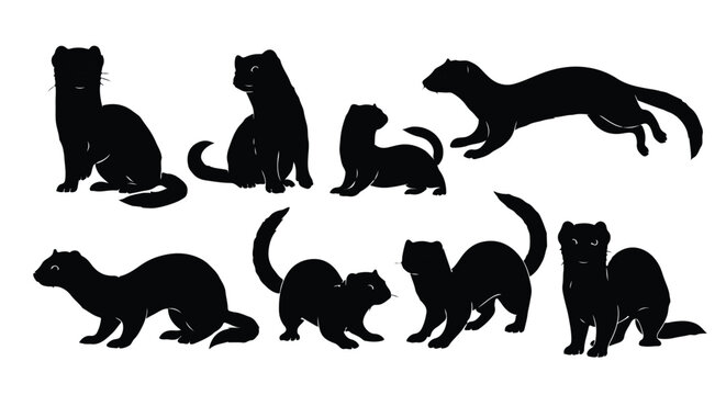 Silhouette vector set a collection of black ferret silhouettes in various playful poses on a white background
