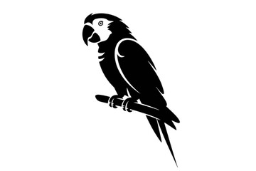 Fototapeta premium Perched Parrot Silhouette bird branch