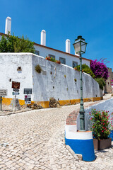 Flower Pots on Rustic Wall in Obidos Alley