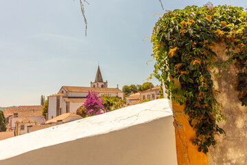 Cobblestone Street and Colorful Flowers in Obidos