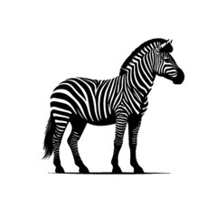 Zebra in Savannah Vector – Scenic Wildlife Landscape Illustration