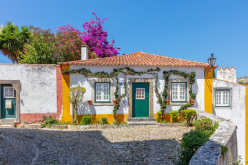 Cobblestone Street and Colorful Flowers in Obidos