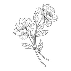 Flower line art drawing. Art flower design for print, cover, wallpaper, Minimal and natural wall art.