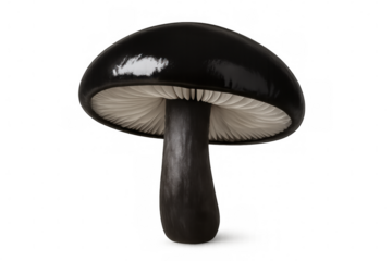 Glossy black mushroom with detailed gills, 3d rendered against transparent background