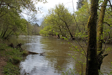 Espace protégé, riviere La Leyre, Salles, 33, Gironde, France