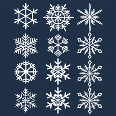 Fototapeta premium Twelve unique white snowflake illustrations on a dark blue background winter cold