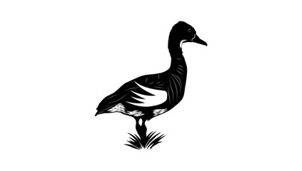 Plumed Whistling-Duck ,black isolated silhouette