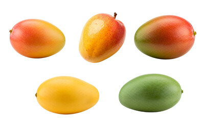 Vibrant collection of fresh tropical mangoes showcasing various stages of ripeness.