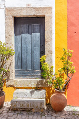 Cobblestone Street and Colorful Flowers in Obidos