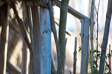 Wooden beams and branches of a rustic structure