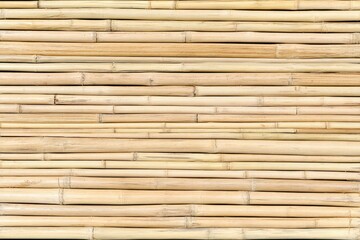 Close-up of light beige bamboo stalks arranged in horizontal rows