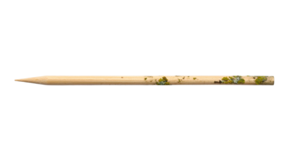 A wooden toothpick with a pointed tip and small green mold spots along its surface.