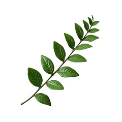 Fototapeta premium Green branch with leaves on a transparent background