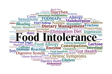 Food Intolerance Word Cloud. Concepts in Digestion, Symptoms, Triggers, and Nutritional Care
