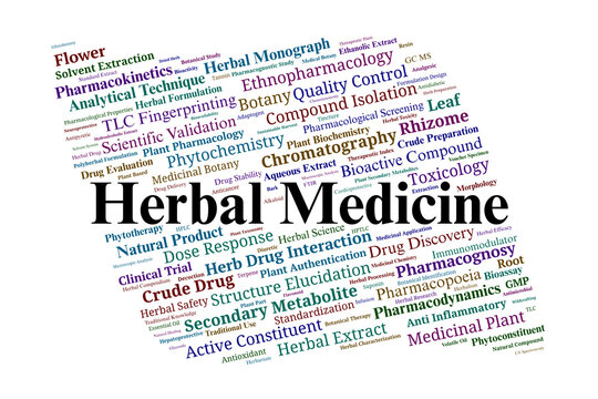 Herbal Medicine Word Cloud. Key Terminologies in Medicinal Plant and Pharmacognostic Study