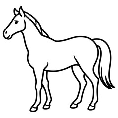 A horse illustration isolated on a white background