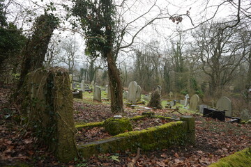 Stoney Middleton, The Peak District, England – January 21 2025: Eerie winter scene showing moss-covered headstones and bare trees in a haunting graveyard.