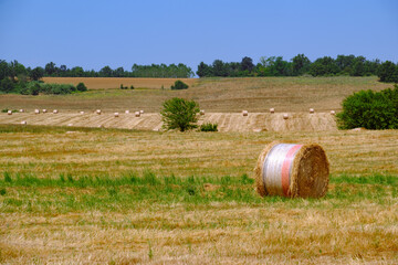 Rural landscape in Monferrato near Oviglio and Bergamasco, Alessandria province, Italy