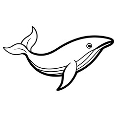 A black and white illustration of a humpback whale