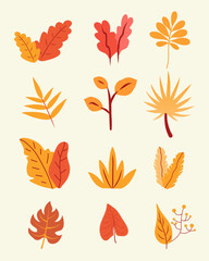 Hand drawn autumn leaves collection