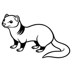 A charming ferret drawing in black and white outline