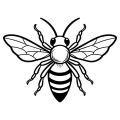 Fototapeta premium A black and white outline of a bee with its wings and stripes