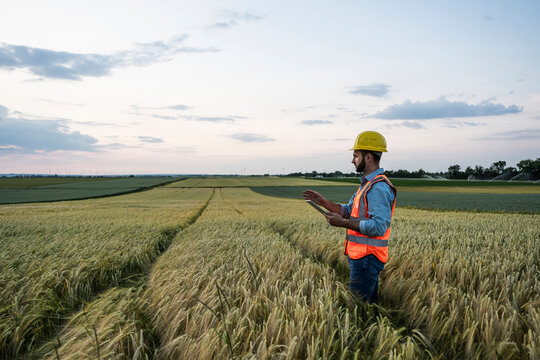 Engineer in reflective clothing holding tablet PC amidst crop in field