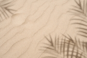 Sand texture background,Summer beach with tropical coconut palm leaf shadow on brown sand...