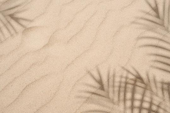 Sand texture background,Summer beach with tropical coconut palm leaf shadow on brown sand background. Nature background of Minimal sunlight over lay on sand dunes for Summer holiday, vacation, travel