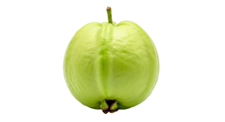 Isolated guava fruit