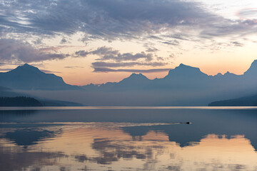 A serene landscape featuring a calm lake reflecting the soft hues of the sky at dawn or dusk, with silhouetted mountains in the background and a small animal swimming across the water