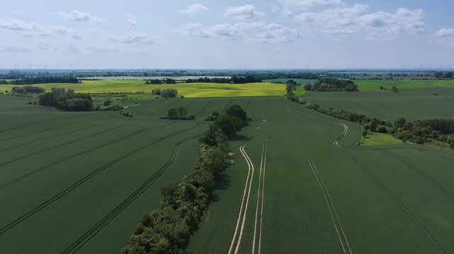 Aerial view of lush green fields contrasted by yellow patches, separated by a line of trees, creating a beautiful rural landscape, Brussow, Brandenburg, Germany.
