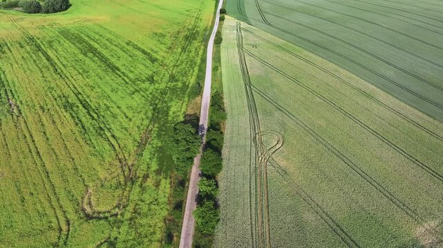 Aerial view of vibrant green and golden agricultural fields divided by a road, creating a patchwork of textures and tones, Brussow, Brandenburg, Germany.