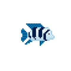 Tropical fish. Aquarium fish. Pixel art icon. 