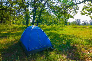 small touristic tent stay on green forest glade