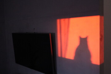 tlo © Павел Кежа