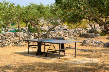 Ping pong table in a summer garden with olive trees. Croatia