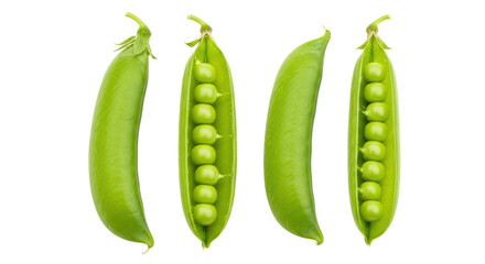 Isolated Sugar Snap Peas Open and Whole
