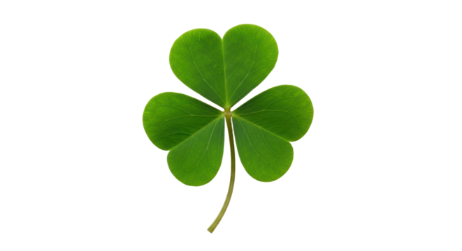 Isolated Shamrock