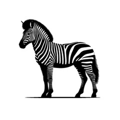 Vintage Style Zebra Vector – Retro Wildlife Illustration Design
