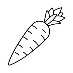 healthy carrot illustration on white background