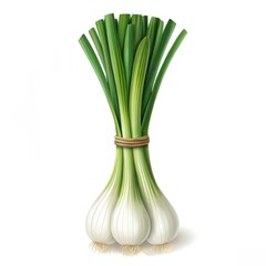 Fresh Leeks Bunch Isolated on White Background, Vibrant Green Stalks and White Bulbs