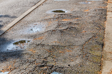 Un chemin en mauvais état avec des flaques d'eau après la pluie et des débris végétaux.
