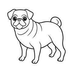 pug dog vector illustration