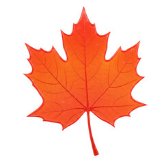 Fototapeta premium Bright orange maple leaf isolated on transparent background