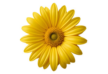 Fototapeta premium Yellow Daisy – High-Resolution Transparent Flower PNG