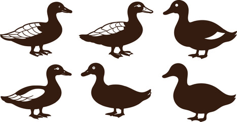 set of duck vector art