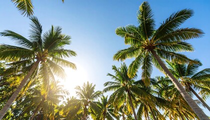 Lush palm trees under a vibrant blue sky