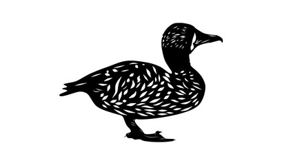 White-backed Duck, black isolated silhouette